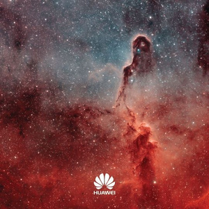 草莓视频APP下载污
