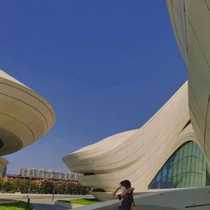 草莓视频APP下载污
