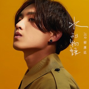 草莓视频APP下载污
