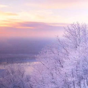 草莓视频APP下载污
